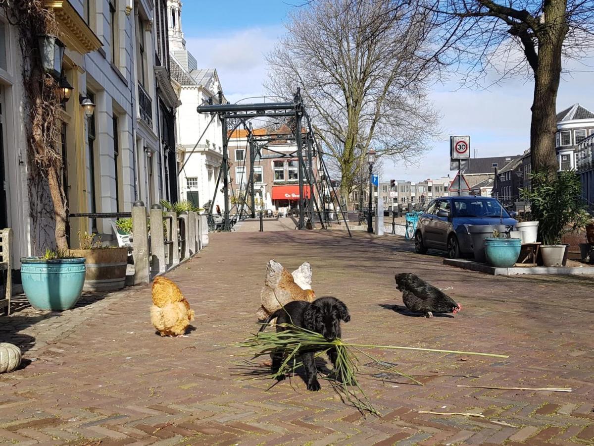 'T Hart Van Schiedam Eksteriør bilde